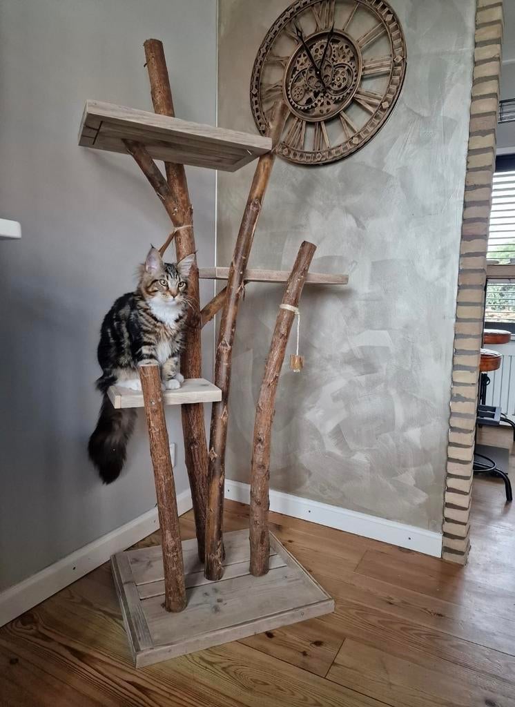 Krabpaal Lotje, Ophalen, Nieuw, Kommiezenlaan 19, Krabpaal