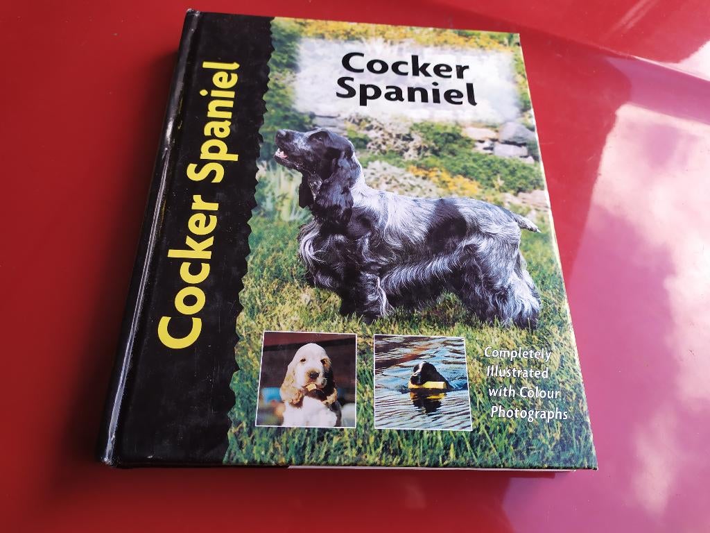 Cocker Spaniel, Ophalen of Verzenden, Honden