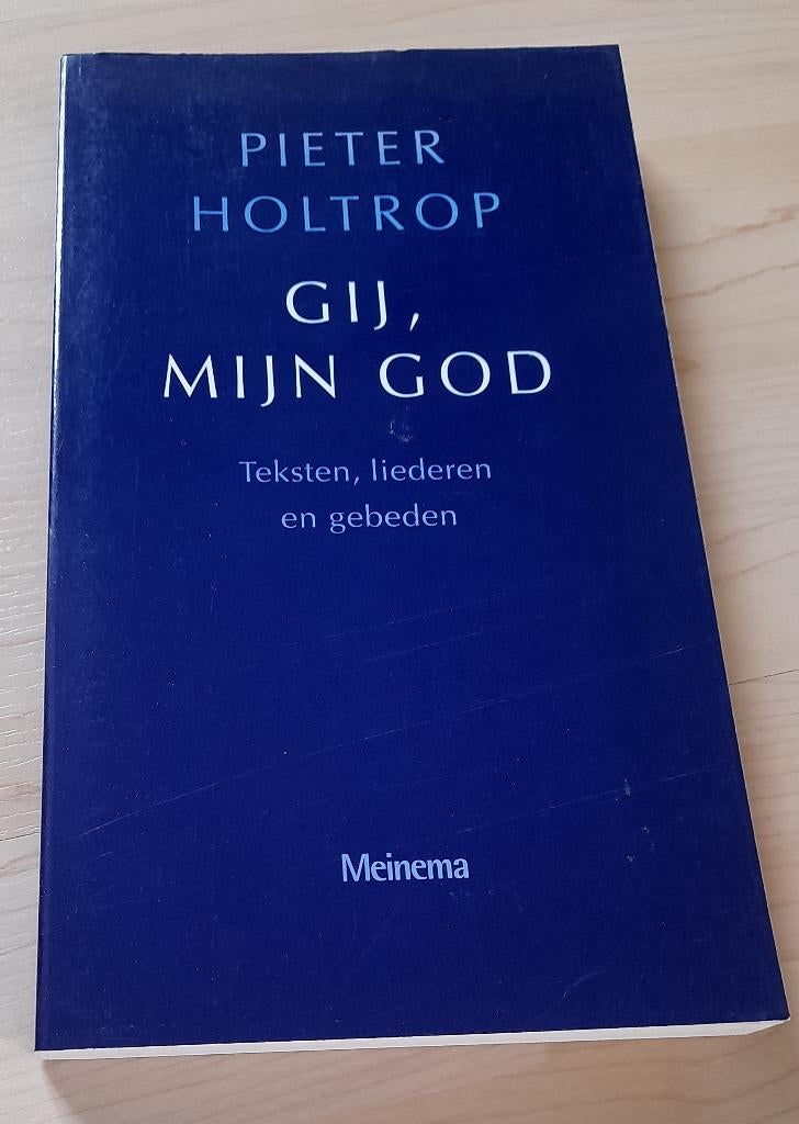 GIJ MIJN GOD Pieter Holtrop, Boeken, Ophalen of Verzenden, Gelezen