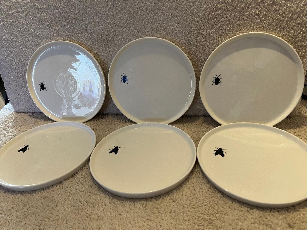 Nieuw - Zusss borden set – 6 stuks (vlieg & kever), Ophalen of Verzenden, Nieuw, Overige stijlen, Bord(en)