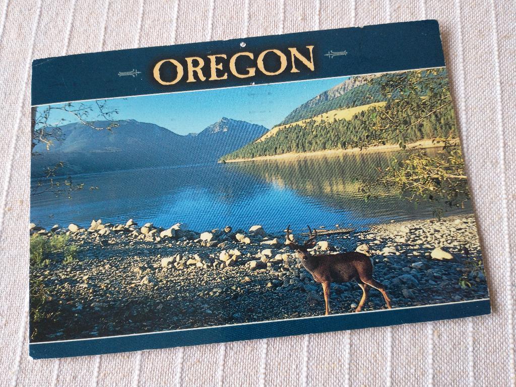 Oregon SPC-0756, Ophalen of Verzenden, 1980 tot heden, Gelopen, Buiten Europa