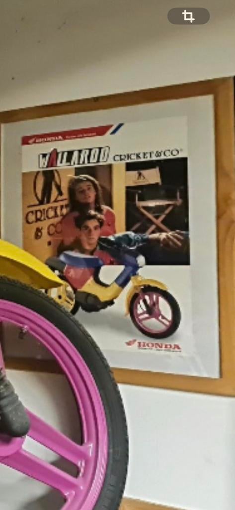 Honda wallaroo cricket & co gezocht folders, Fietsen en Brommers, Brommers | Honda, Ophalen of Verzenden, Zo goed als nieuw, Overige modellen