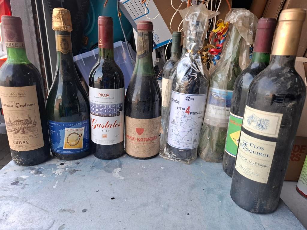 Oude wijnflessen, waaronder Le Clos d'Esquirol 1995, Ophalen of Verzenden