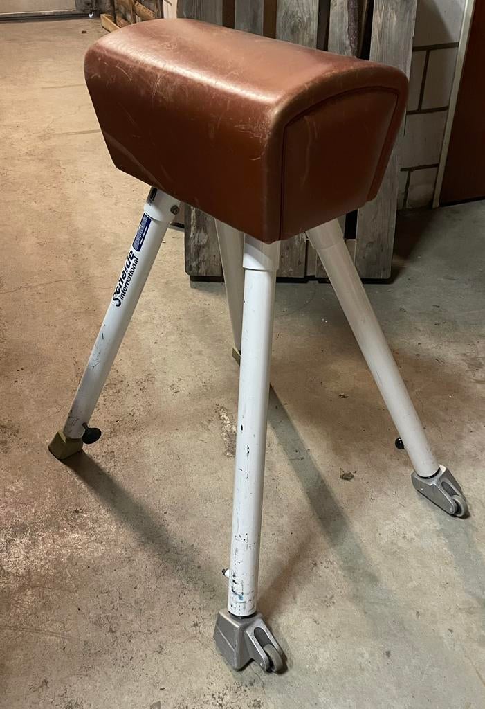 Turnbok, Sport en Fitness, Turnen, Ophalen of Verzenden, Gebruikt