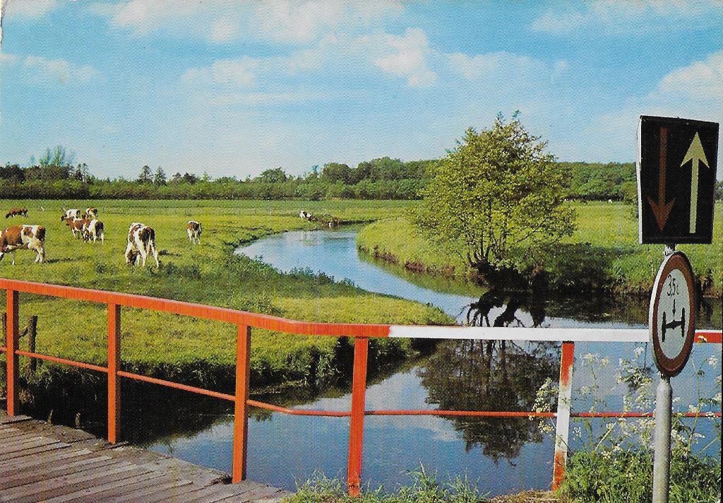 Dwingeloo Gelopen Ansichtkaart ( 1274 ), Ophalen of Verzenden, 1980 tot heden, Gelopen