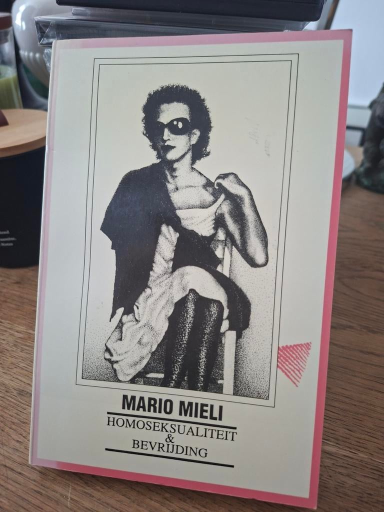 Homoseksualiteit & bevrijding mario mieli waargebeurd gay, Verzenden, Zo goed als nieuw