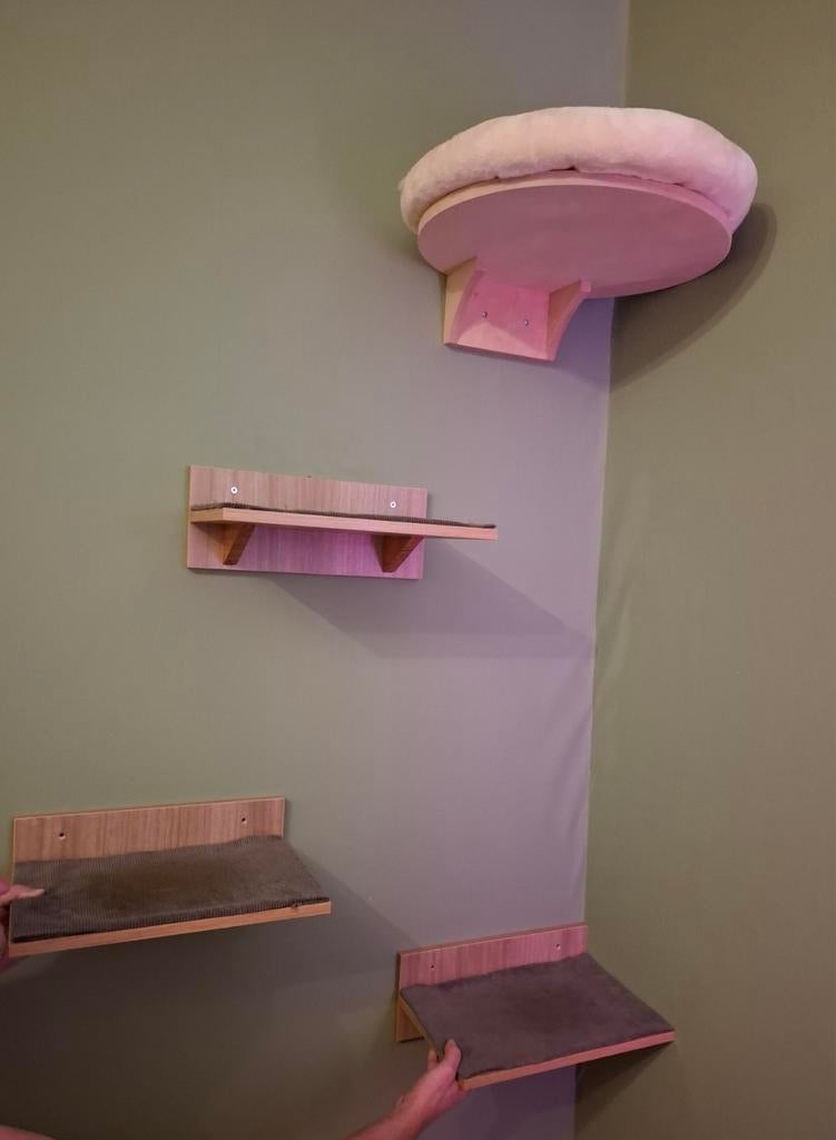 Kattenklimwand / kattenplanken, Ophalen, Krabpaal