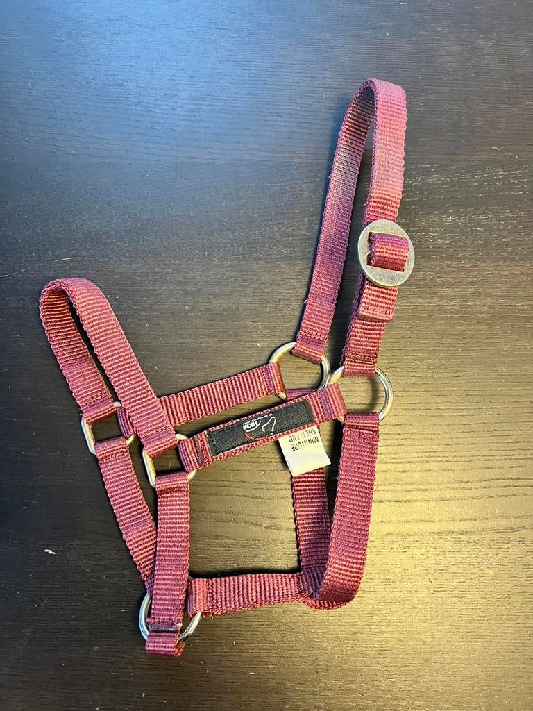 IZGS Bordeaux Halster Ruim Verstelbaar Mini Shetlander, Ophalen of Verzenden, Zo goed als nieuw, Overige soorten