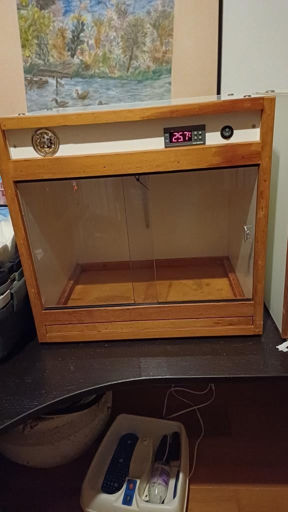 Couveuse / ziekekooi, Meerdere dieren, Papegaai