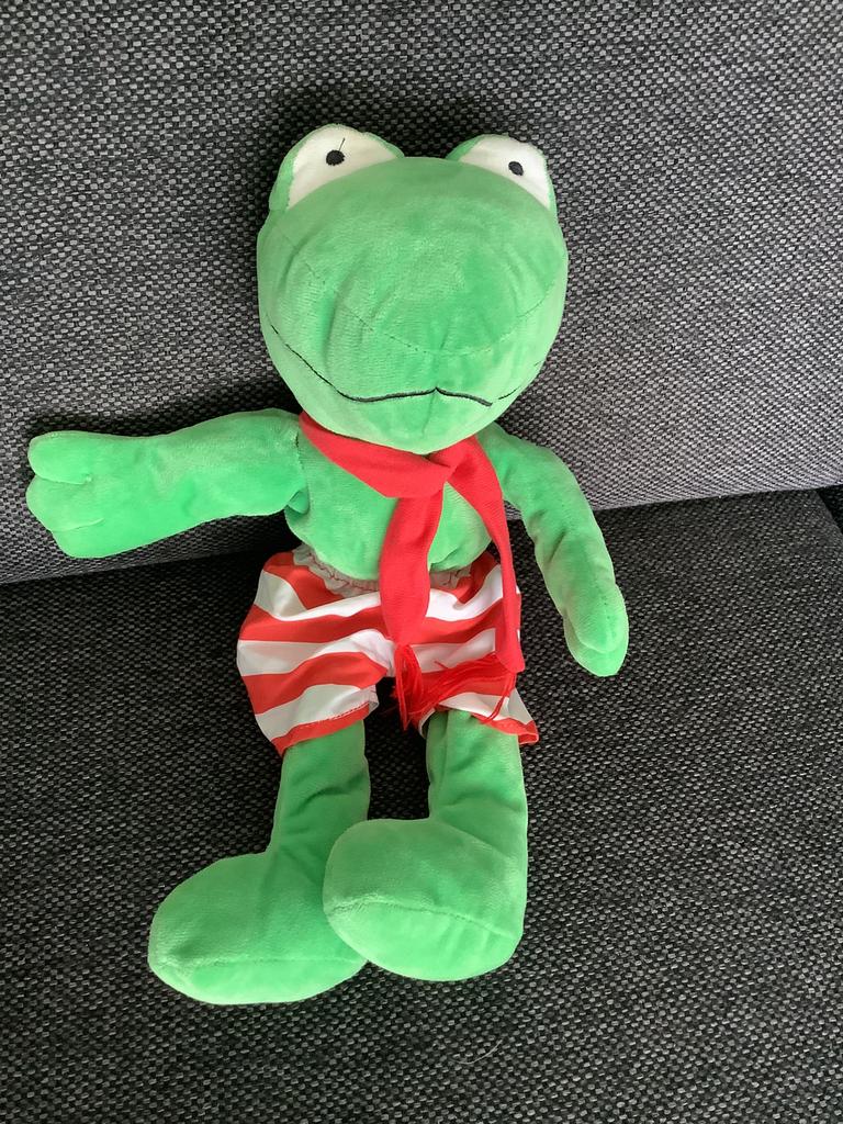 Kikker en zijn vriendjes pluche knuffel handpop 40 cm, Ophalen of Verzenden, Zo goed als nieuw, Kikker
