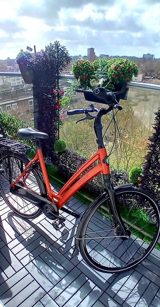 Prachtige Gazelle Chamonix C7 D53cm Nieuwstaat Damesfiets, Fietsen en Brommers, Fietsen | Dames | Damesfietsen, Ophalen, Zo goed als nieuw