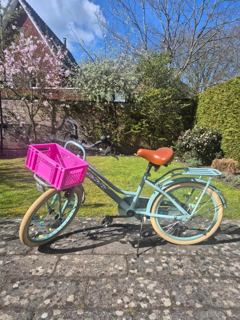 Meisjesfiets mintgroen 20 inch met mandje, Ophalen, Gebruikt, 20 inch, Handrem