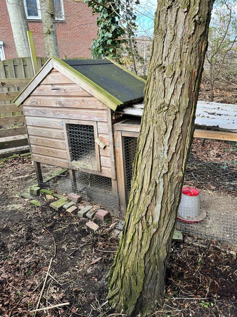 Kippenhok ren 2jaar oud, Ophalen, Kippenhok of Kippenren