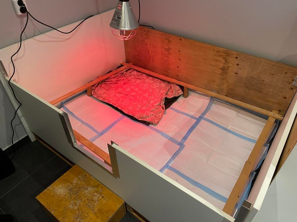 Werpkist voor een grote hond, Ophalen, 110 cm of meer, 65 tot 100 cm, Hondenhok