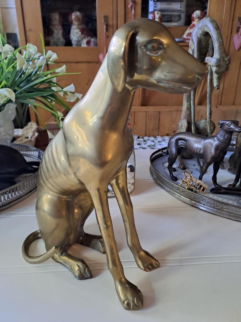Windhond koper/messing, Ophalen of Verzenden, Zo goed als nieuw, Dier