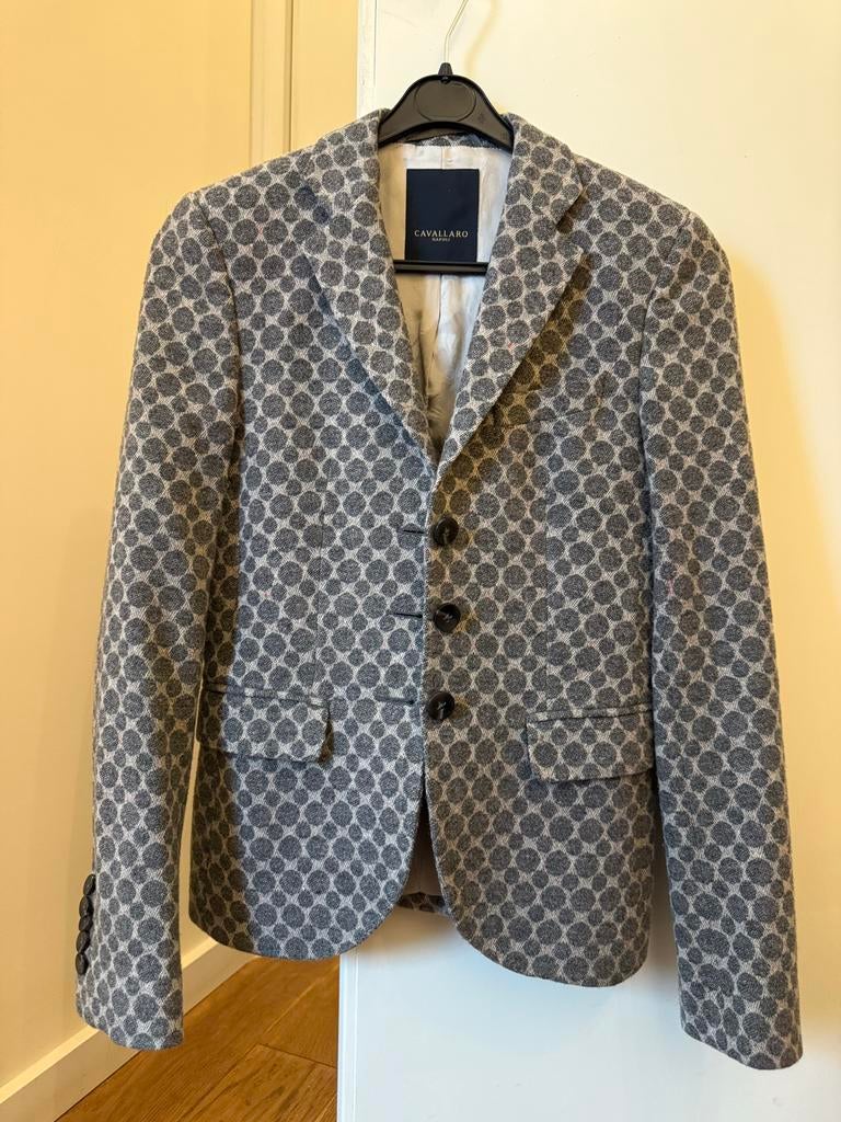 Cavallaro Napoli blazer met stippen - Maat XS, Ophalen of Verzenden, Gedragen, Maat 46 (S) of kleiner, Grijs