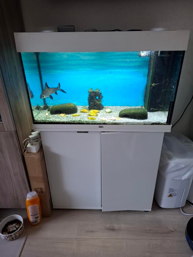 Juwel Rio 125 aquarium met toebehoren led compleet, Ophalen, Gevuld zoetwateraquarium