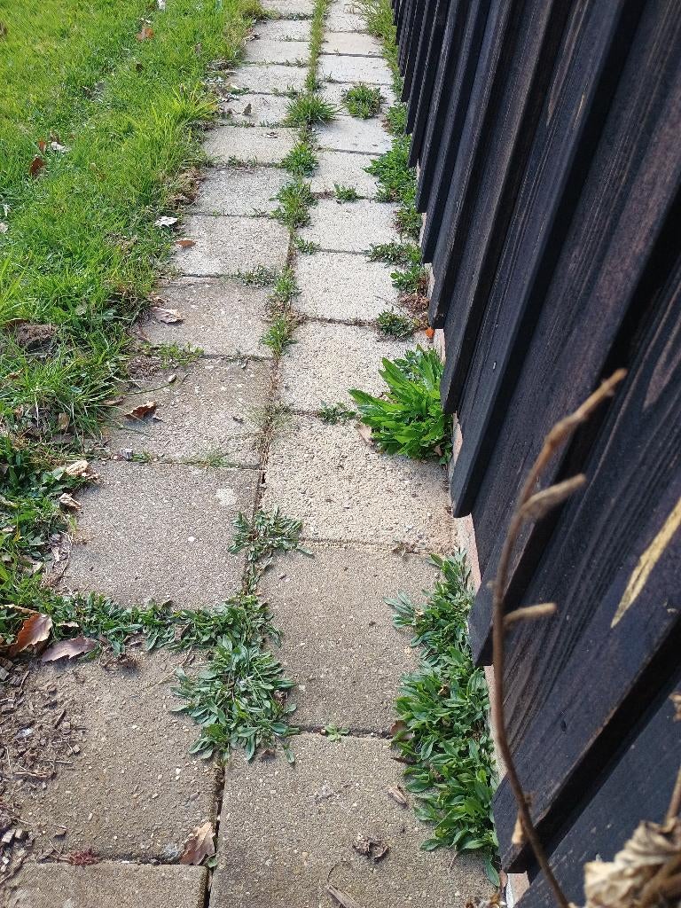 Trottoirtegels 30x30, Tuin en Terras, Ophalen, Gebruikt, Beton, Terrastegels