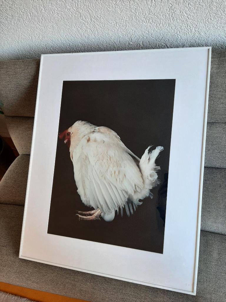 Originele grote foto Yoshio Hata in de serie Hanako, 1985, Ophalen