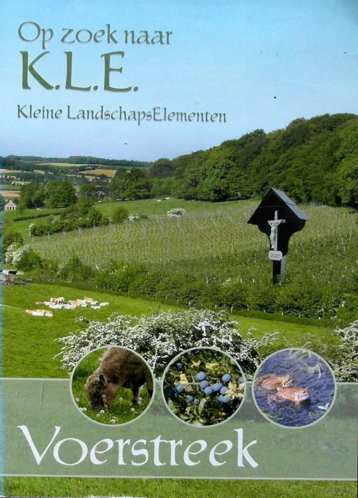 VOERSTREEK, Overige merken, Europa, Ophalen of Verzenden, Zo goed als nieuw