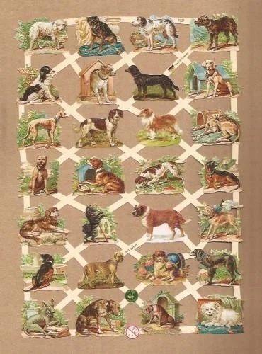 Heel veel honden poezieplaatjes 733, Ophalen of Verzenden