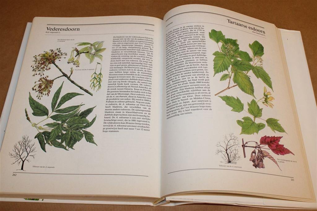 Bomen en Struiken — Europese Soorten in Woord en Beeld, Ophalen of Verzenden, Gelezen, Bloemen, Planten en Bomen