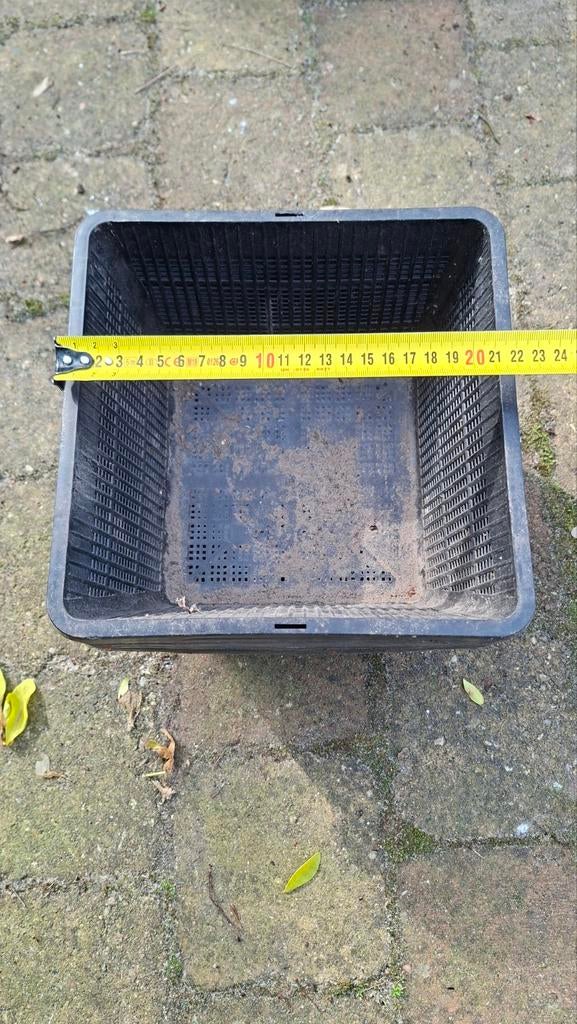 Vijvermanden 20cm - Gebruikt, meerdere beschikbaar, Ophalen, Gebruikt, Overige typen