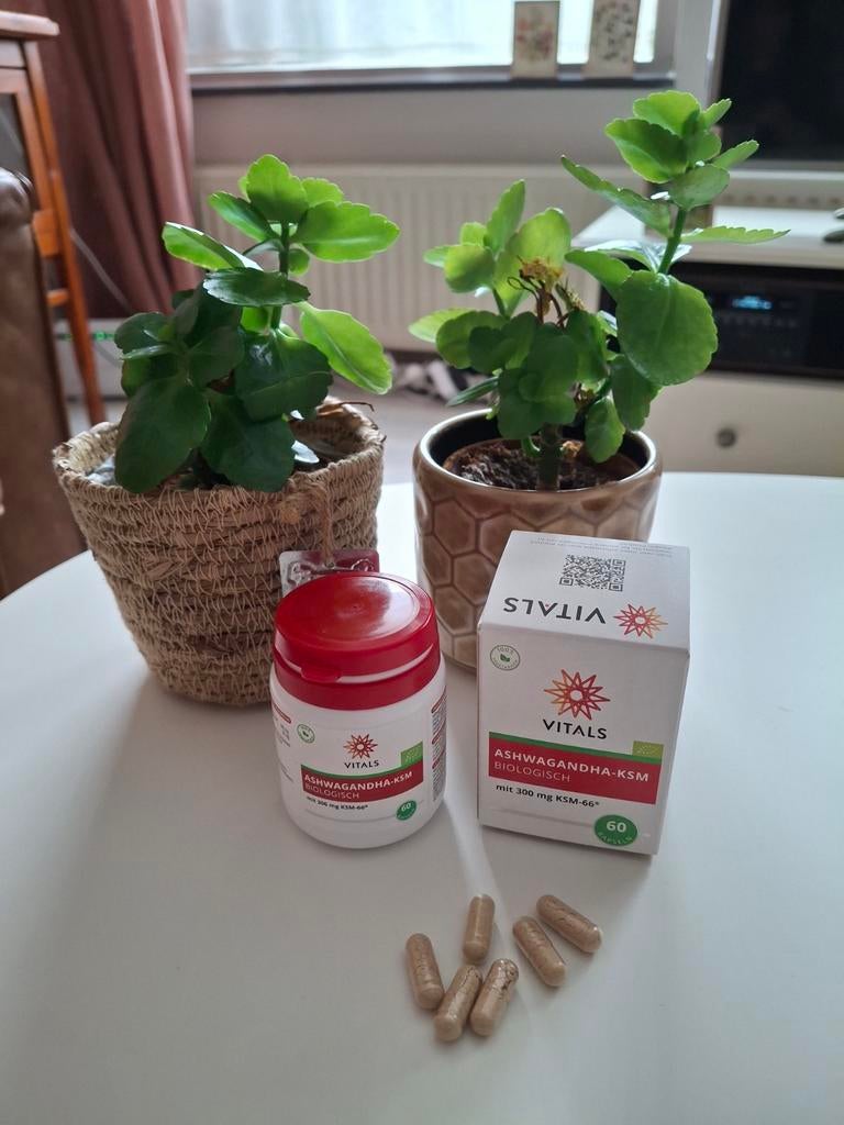 Vitals Ashwagandha KSM-66 - 45 capsules over, Sport en Fitness, Gezondheidsproducten en Wellness, Ophalen of Verzenden, Zo goed als nieuw