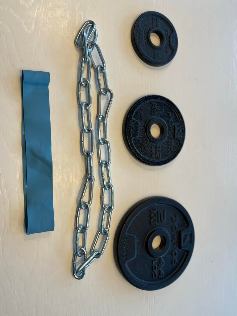 Gewichten en Fitness Accessoires, Sport en Fitness, Fitnessmaterialen, Ophalen, Gebruikt, Armen, Halterschijven