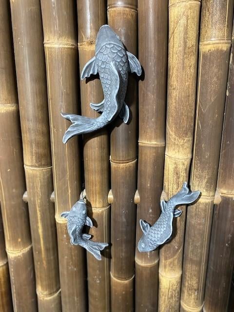 Set (3) Vlinderkoi / Koi karper