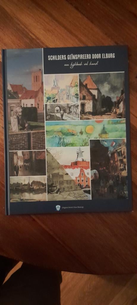 Schilders geïnspireerd door Elburg - Kunstboek, Boeken, Ophalen of Verzenden, Zo goed als nieuw, Fotografie algemeen, Arent thoe Boecop