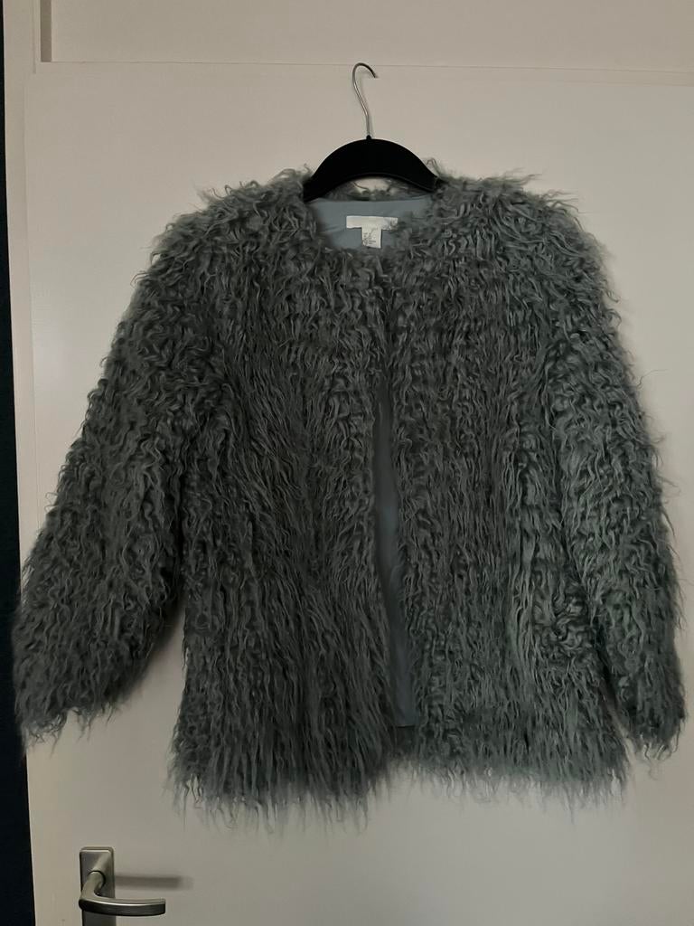 Bontjas h&m grijs xs, Kleding | Dames, Ophalen of Verzenden, Nieuw, Maat 34 (XS) of kleiner, Zwart