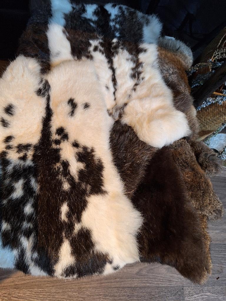 Mooie konijnenvachten!, Minder dan 50 cm, Nieuw, Minder dan 50 cm, Ophalen of Verzenden