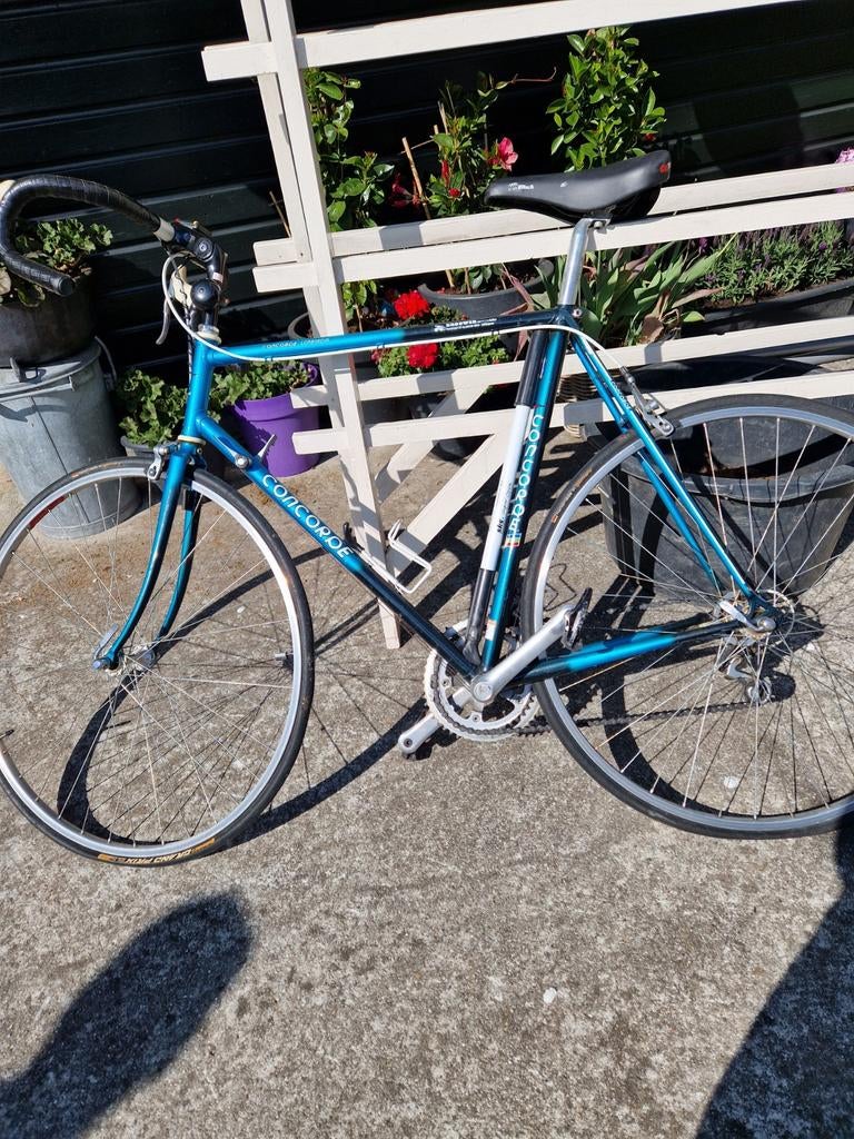 Racefiets - Concorde Super Corsica, Overige merken, Gebruikt, Staal, Heren