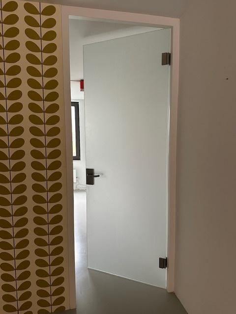 Matglas binnendeuren, Doe-het-zelf en Verbouw, Ophalen, Gebruikt, 80 tot 100 cm, 215 cm of meer