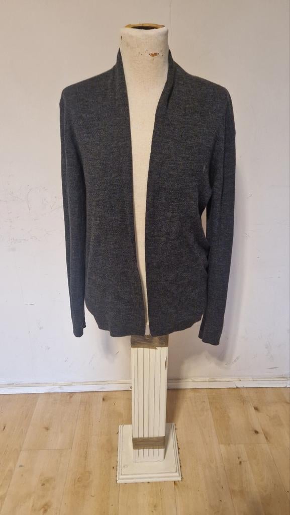 Allsaints wollen cardigan - Maat L - Nieuwstaat, Maat 52/54 (L), Nieuw, Ophalen of Verzenden, Allsaints