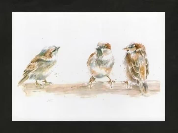 Huismus Mussen Passer Domesticus door Geertje Rigterink., Ophalen of Verzenden, 1980 tot heden, Ongelopen, Vogel