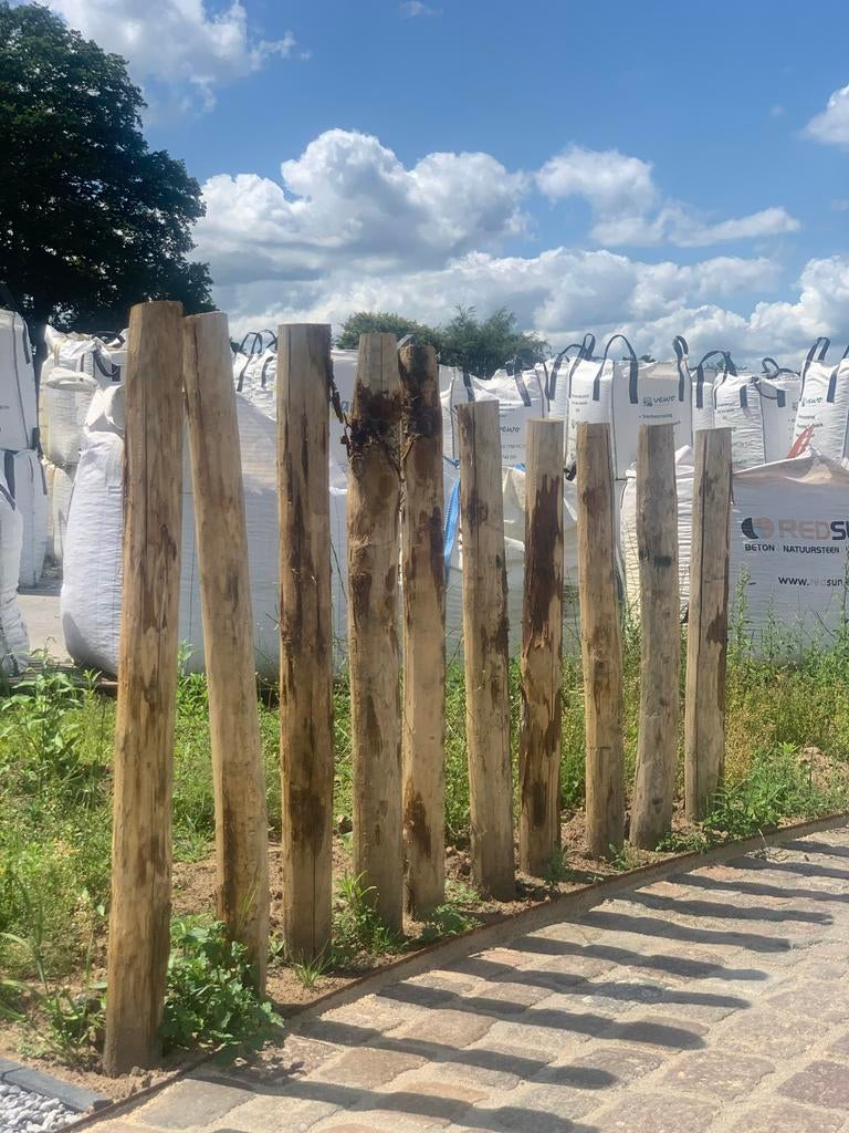 PEFC Kastanjepaal geschild gepunt Ø6-8 cm 180 cm €9,50, 100 tot 200 cm, Overige typen, Nieuw, Ophalen of Verzenden