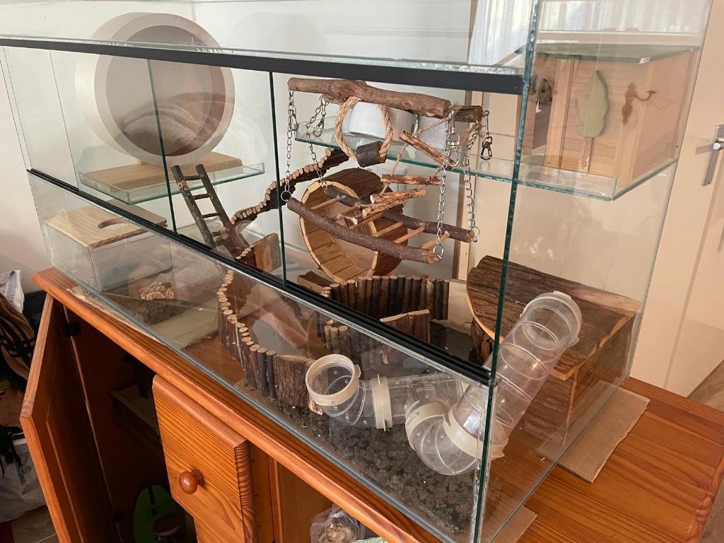 Terrarium met kast, Ophalen, Kooi, 60 tot 90 cm, Muis