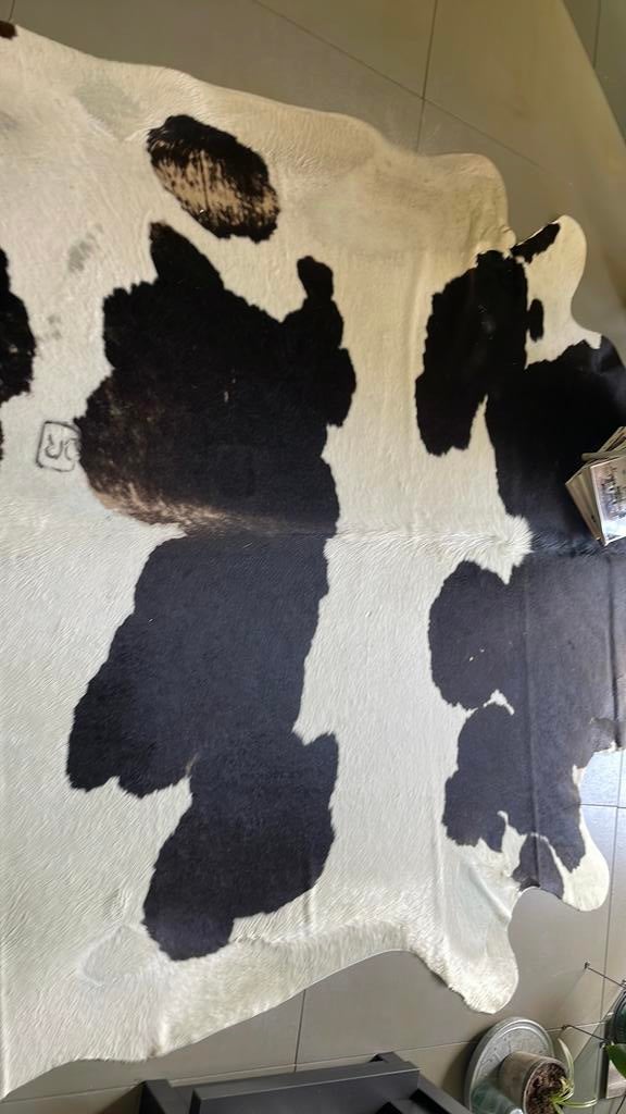Koeienvel zwart wit, Ophalen, Gebruikt, Wit, 50 tot 100 cm