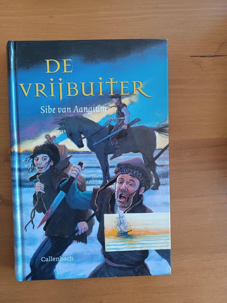 De vrijbuiter, Ophalen of Verzenden, Gelezen, Sibe van Aangium