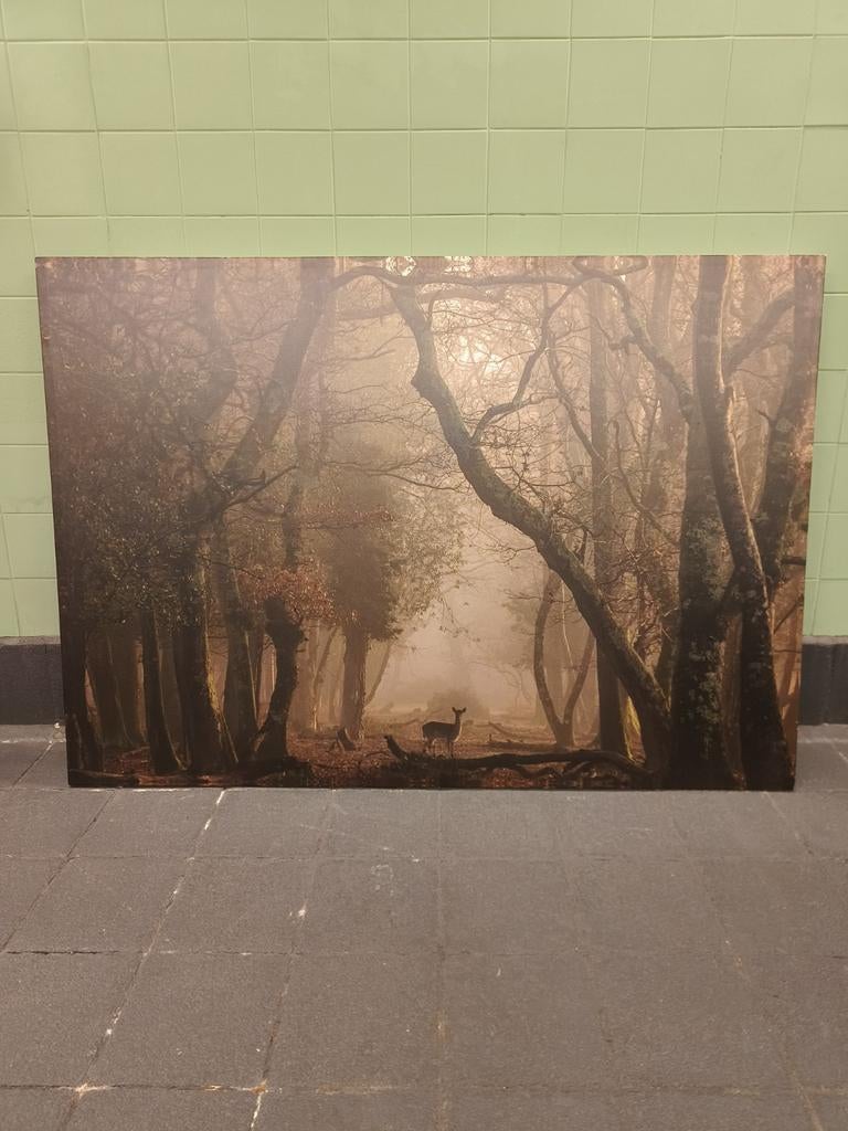 Groot Schilderij/Canvas doek Ikea 205x144 cm - Bos met hert, Ophalen, Gebruikt, 125 cm of meer, Schilderij