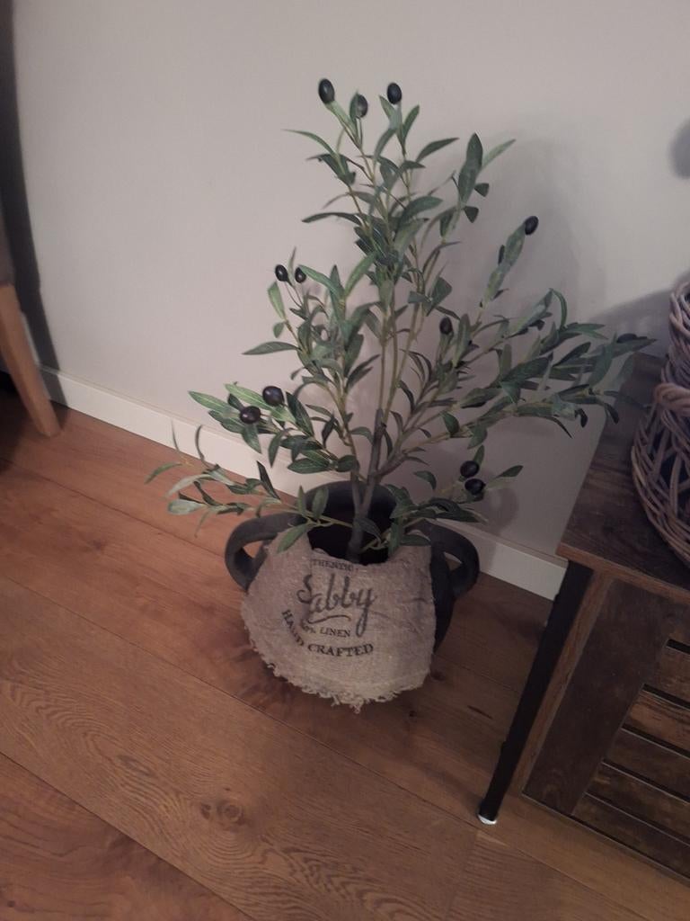 Kunst olijfboompje, Ophalen of Verzenden