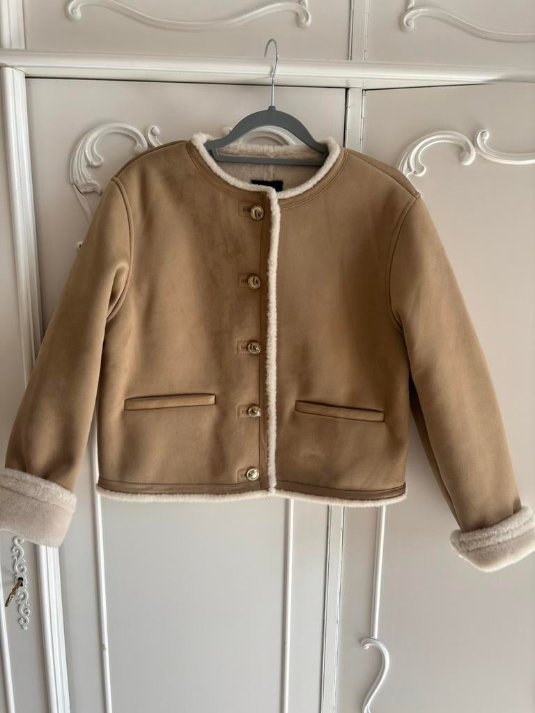 Nieuw beige lammy jas Zara maat XS, Ophalen of Verzenden, Nieuw, Maat 34 (XS) of kleiner, Beige