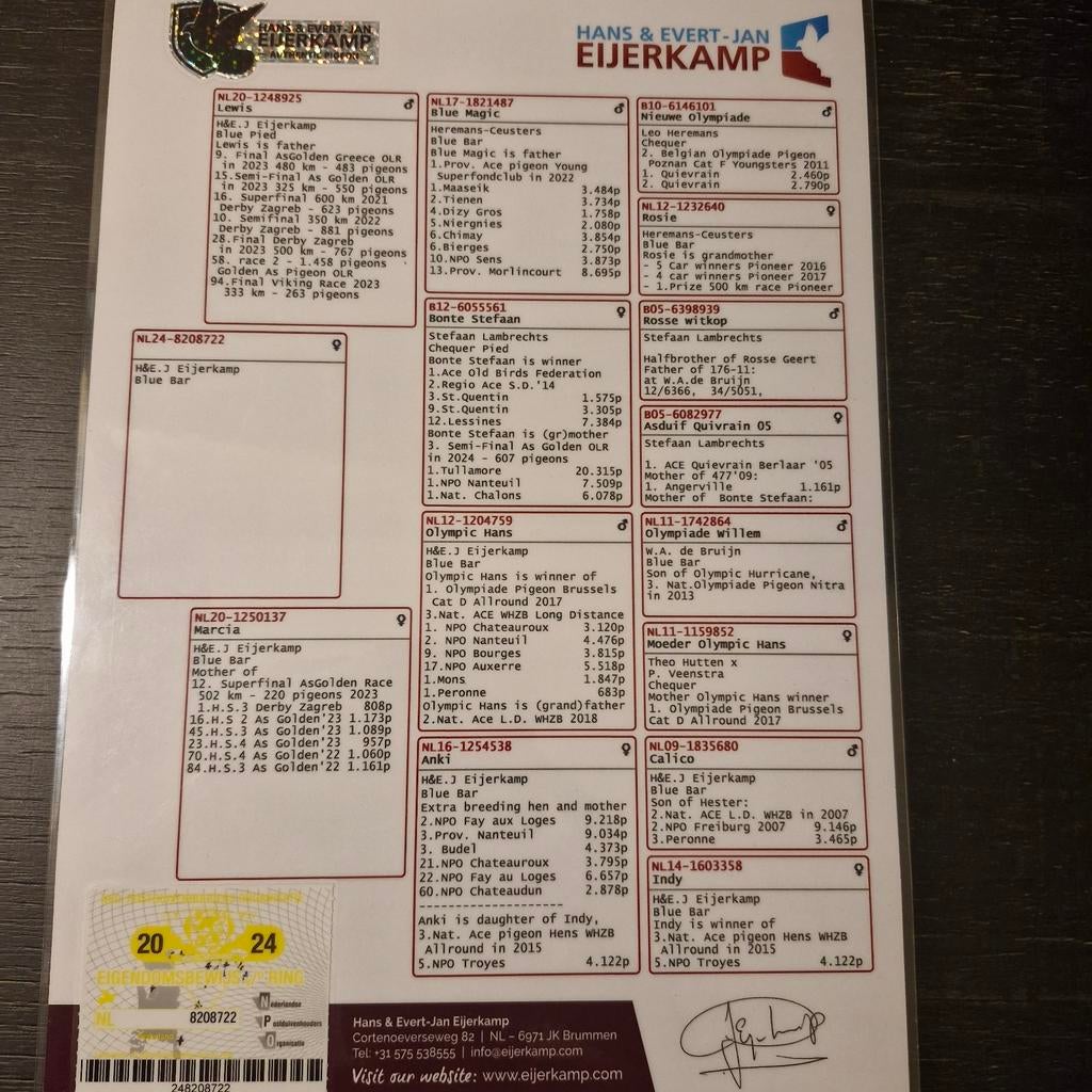 Jonge duiven uit super koppel Eijerkamp., Dieren en Toebehoren, Geslacht onbekend, Postduif