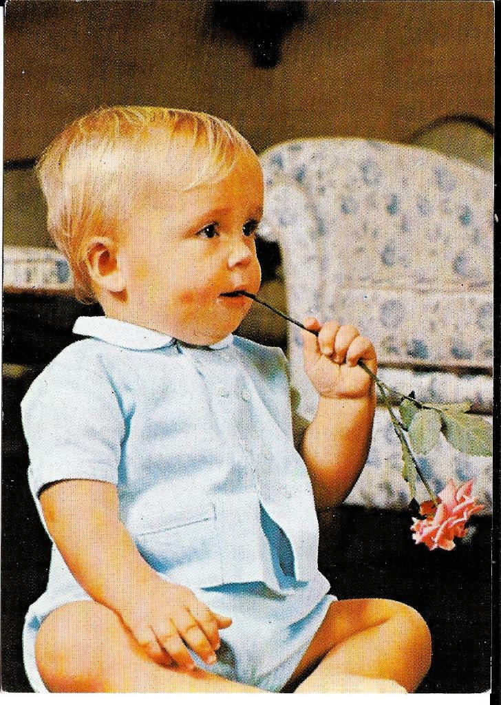 Ansichtkaart	Friso, Verzamelen, Verzenden, 1960 tot 1980, Ongelopen, Sterren en Beroemdheden