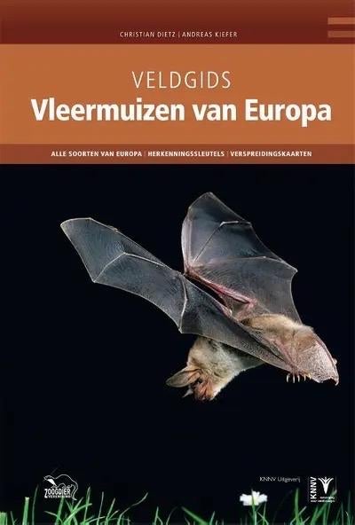 Gezocht; Veldgids Vleermuizen van Europa - Alle soorten, Boeken, Natuur, Ophalen of Verzenden, Zo goed als nieuw, Natuur algemeen