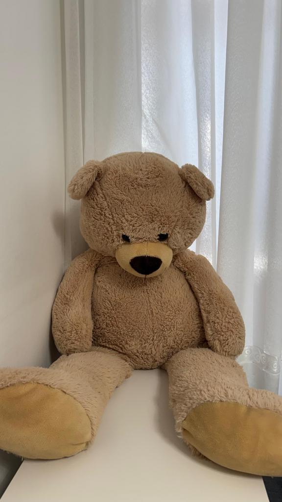 Grote Knuffelbeer - 1 Meter Hoog, Ophalen of Verzenden, Zo goed als nieuw, Beer