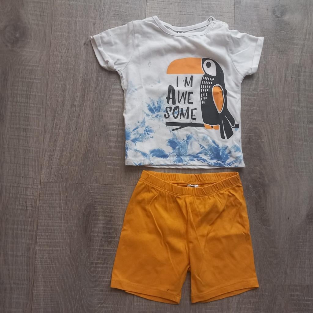 Zomersetje: T-shirt met toekan en korte broek maat 74/80, Ophalen of Verzenden, Gebruikt, Onbekend, Jongetje