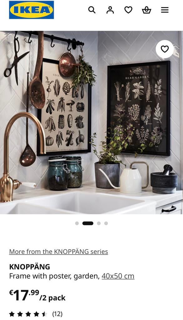 Ikea KNOPPÄNG Frame with poster, Ophalen of Verzenden, Zo goed als nieuw, Schilderij, Minder dan 50 cm